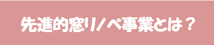 先進的窓リノベ事業とは