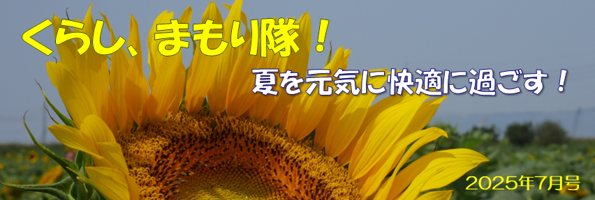 夏を元気に快適に過ごす！